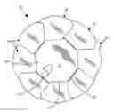 Fig. 01 - Petal shaped greeting card and method