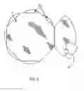 Fig. 07 - Petal shaped greeting card and method