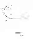 Fig. 03 - INTERCHANGEABLE BAIT HEAD AND SYSTEM FOR ARTIFICIAL BAIT