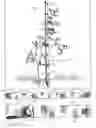 Fig. 03 - Apparatus and method for an adjustable plant support