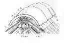 Fig. 01 - Roof provided with an anchor system