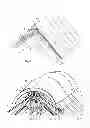 Fig. 02 - Roof provided with an anchor system