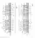 Fig. 02 - COMPOSITE WALL PANEL, WALL SYSTEM AND COMPONENTS THEREOF, AND A METHOD OF CONSTRUCTION THEREOF