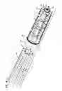 Fig. 11 - Filter cartridges; features and methods of assembly; air cleaner assemblies; and, filter cartridge combinations