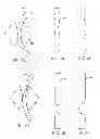 Fig. 04 - Precision forming of sheet glass and sheet rolling apparatus