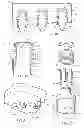 Fig. 08 - Shoulder pilot assembly with self-contained stripper and method for metal forming dies