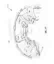 Fig. 22 - Continuously variable transmission