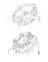 Fig. 37 - Continuously variable transmission