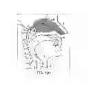 Fig. 02 - NASAL ADMINISTRATION