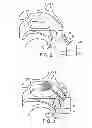 Fig. 04 - NASAL ADMINISTRATION