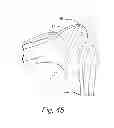 Fig. 28 - Cushion for patient interface