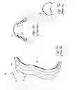 Fig. 31 - Cushion for patient interface