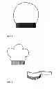 Fig. 03 - Comb