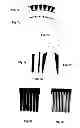 Fig. 09 - Comb