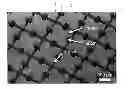 Fig. 01 - Stretchable substrate, stretchable photovoltaic apparatus, and stretchable device