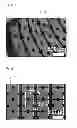 Fig. 04 - Stretchable substrate, stretchable photovoltaic apparatus, and stretchable device