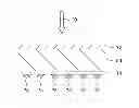 Fig. 01 - SOLAR CELL AND METHOD FOR MANUFACTURING THE SAME