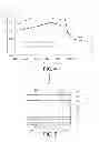 Fig. 04 - SOLAR CELL AND METHOD FOR MANUFACTURING THE SAME