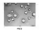 Fig. 03 - UV CURABLE SEALING COMPOSITION AND DYE-SENSITIZED SOLAR CELL USING THE SAME
