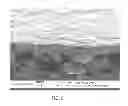 Fig. 09 - PHOTOVOLTAIC DEVICE WITH SOLUTION-PROCESSED CHALCOGENIDE ABSORBER LAYER
