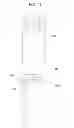 Fig. 28 - Medicament dispensing machine
