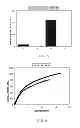 Fig. 04 - BIO-CO-CR-MO ALLOY WITH ION ELUTION SUPPRESSED BY STRUCTURE CONTROL, AND PROCESS FOR PRODUCING SAME