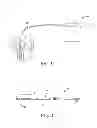 Fig. 02 - Medical devices including polyisobutylene based polymers and derivatives thereof
