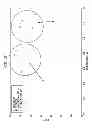 Fig. 12 - High efficiency disposable cellulosic wiper