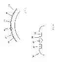 Fig. 06 - Ring with outer markings/segments for setting gemstones