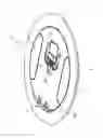 Fig. 02 - Cover assembly for an electrical box