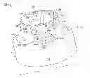 Fig. 01 - Custom shaped blank