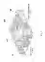 Fig. 05 - High rate deposition systems and processes for forming hermetic barrier layers