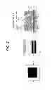 Fig. 03 - DEVICE FOR MANUFACTURING ORGANIC HYDRIDE