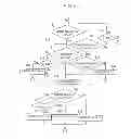 Fig. 07 - Biosensor, measuring instrument for biosensor, and method of quantifying substrate
