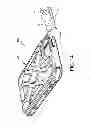Fig. 15 - PROTECTIVE CASES AND METHODS OF MAKING