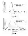 Fig. 03 - Methods For The Recycling of Wire-Saw Cutting Fluid