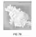 Fig. 09 - Methods For The Recycling of Wire-Saw Cutting Fluid