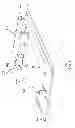 Fig. 02 - Undergarment organizing device and method of use