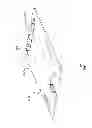 Fig. 07 - Undergarment organizing device and method of use