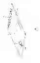 Fig. 08 - Undergarment organizing device and method of use