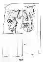 Fig. 37 - Cluster box mail delivery unit having security features