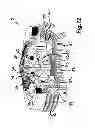 Fig. 07 - Sanitary installation part