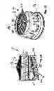 Fig. 10 - Sanitary functional unit
