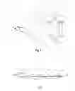 Fig. 02 - Aircraft with an integral aerodynamic configuration