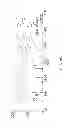 Fig. 07 - METHOD AND APPARATUS FOR DIPOLAR DC COLLISIONAL ACTIVATION OF IONS TRANSMITTED THROUGH AN ELECTRODYNAMIC MULTIPOLE DEVICE
