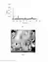 Fig. 02 - Coke resistant solid catalyst, process for the preparation thereof and a process for vapour phase dry reforming of methane