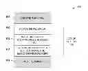Fig. 01 - Sub-oxide interface layer for two-terminal memory