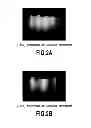 Fig. 03 - Nitride semiconductor structure and method of preparing the same