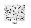 Fig. 04 - Nitride semiconductor structure and method of preparing the same