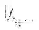 Fig. 24 - Nitride semiconductor structure and method of preparing the same
